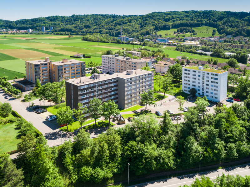 Stellenausschreibung